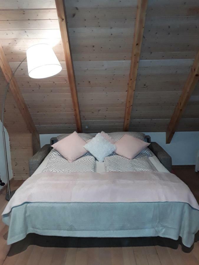 Sweet Home Suite Hallerndorf Buitenkant foto